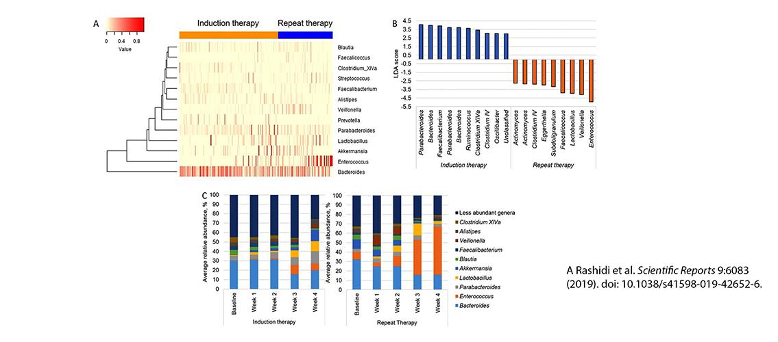 Microbiome in Leukemia