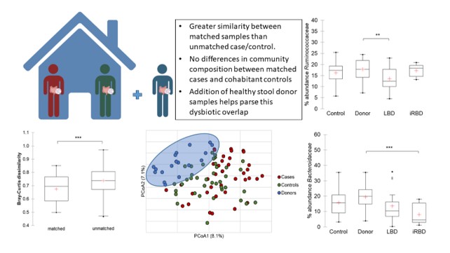 Examining the gut microbiome in Lewy Body Disease